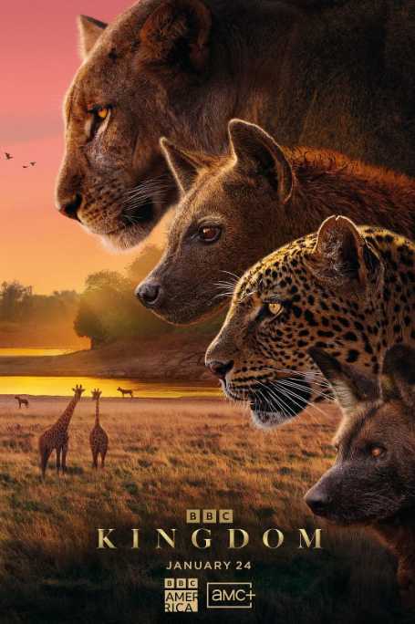 动物王国2025 - 夸克网盘 资源封面图