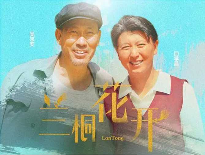 兰桐花开（2019）全42集 - 夸克网盘 资源封面图