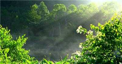 4K片源 超高清实拍视频素材 自然风景山水花草树木瀑布超清素材 - 夸克网盘 资源封面图