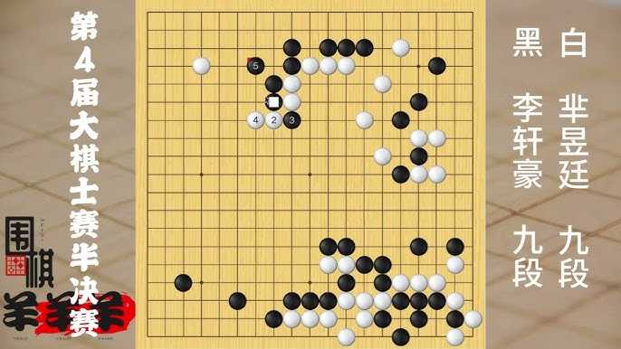 16 小围棋大人生 【完结】 - 夸克网盘 资源封面图