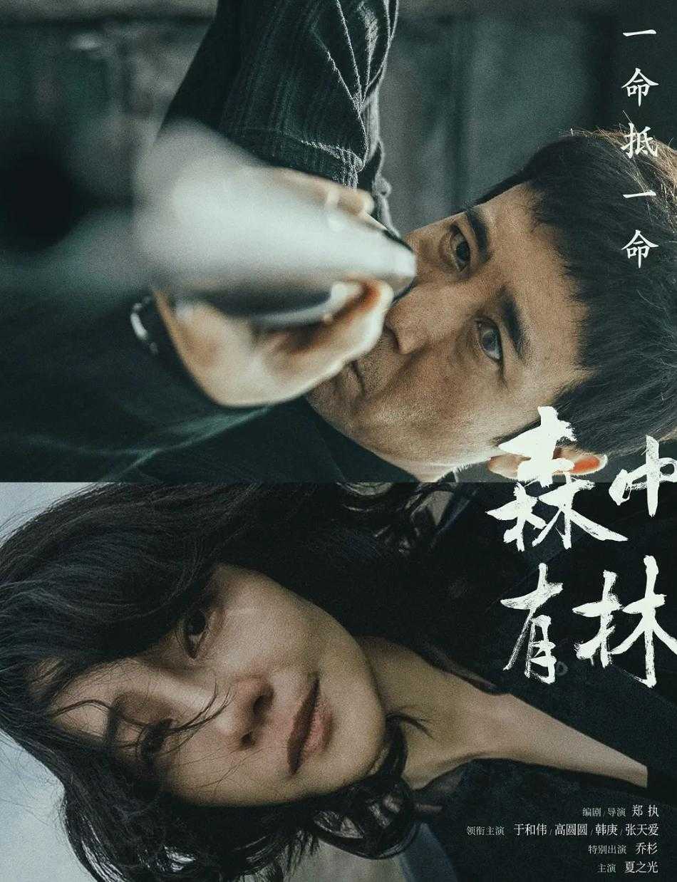 影片改编自郑执同名小说。 - 百度网盘 资源封面图