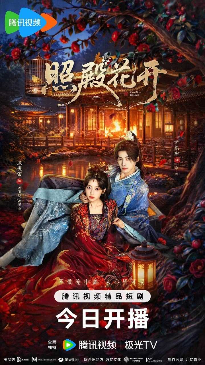 照殿花开 (2026) 【24集全】【4K.HDR10】【高码率】【内嵌简中】【戚砚笛/肖凯】【动作/古装】 - 迅雷云盘 资源封面图