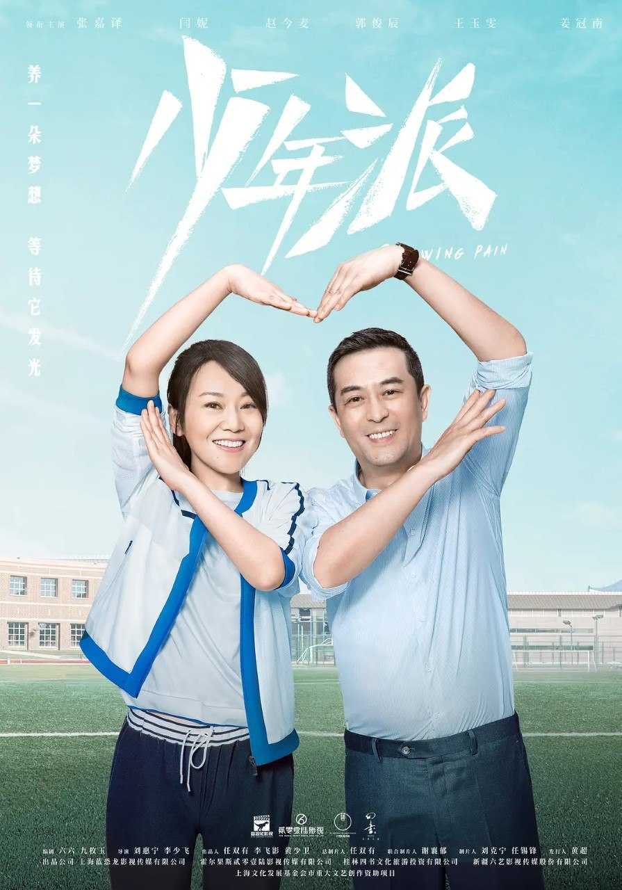 少年派 (2019) 4K WEB-DL H265 AAC 2.0 - 迅雷云盘 资源封面图