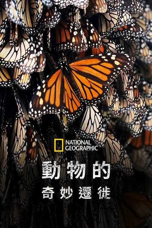 生灵奇旅 (2023) 4K HDR10 全集 内封繁中字幕 - 百度网盘 资源封面图