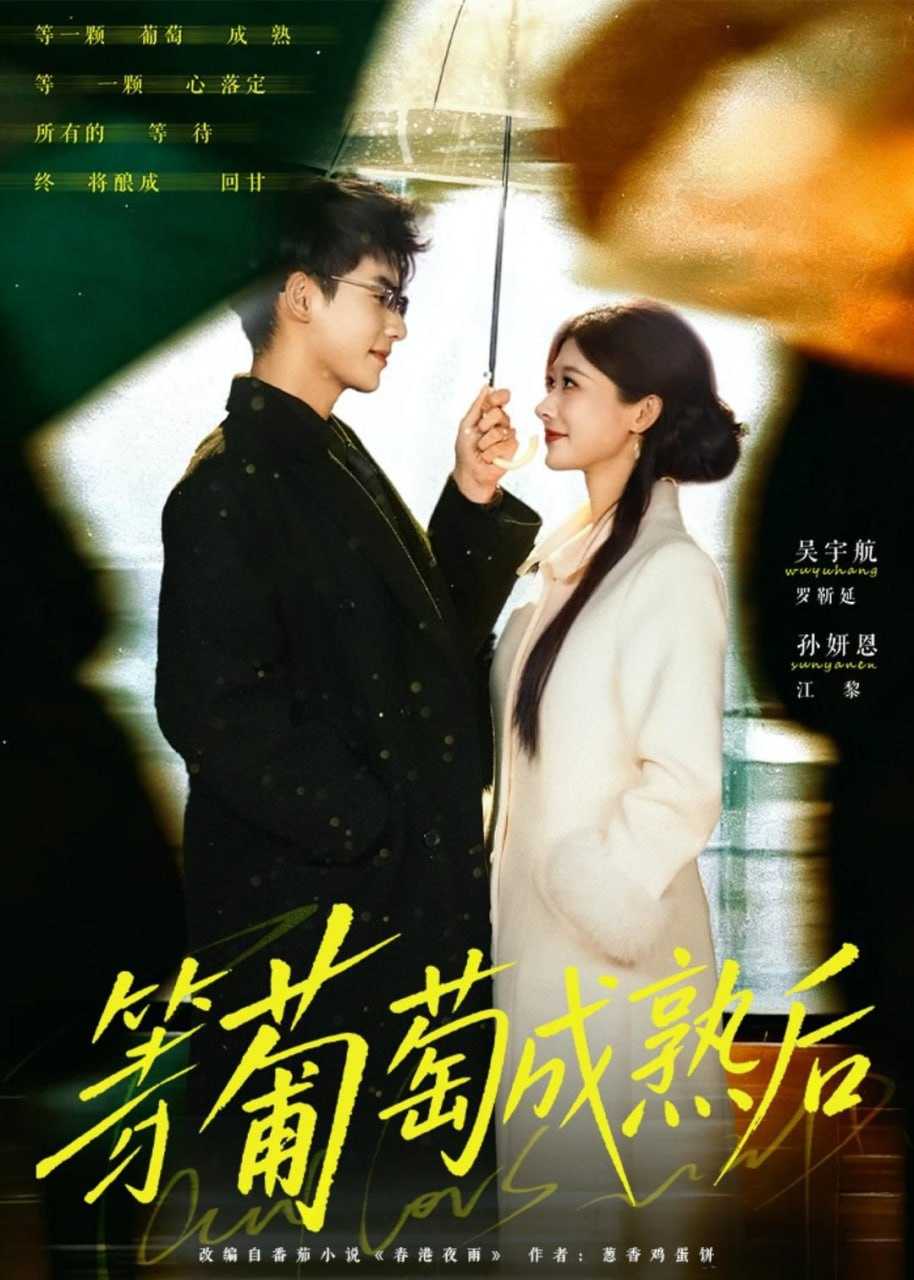 短剧-等葡萄成熟后（82集）吴宇航＆孙妍恩 - 百度网盘 资源封面图