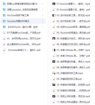 油管(youtube)挣钱攻略合集 - 夸克网盘 资源封面图