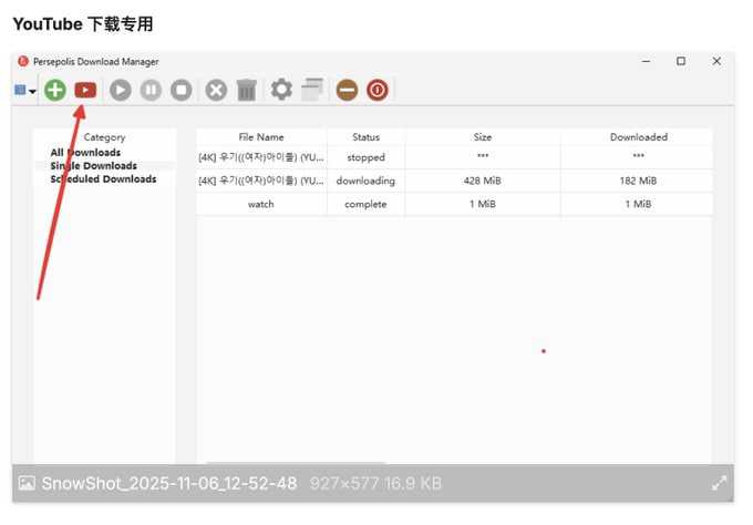 【真·最强视频下载器】不止 YouTube 4K，其他下载链也能轻松拿捏 - 夸克网盘 资源封面图