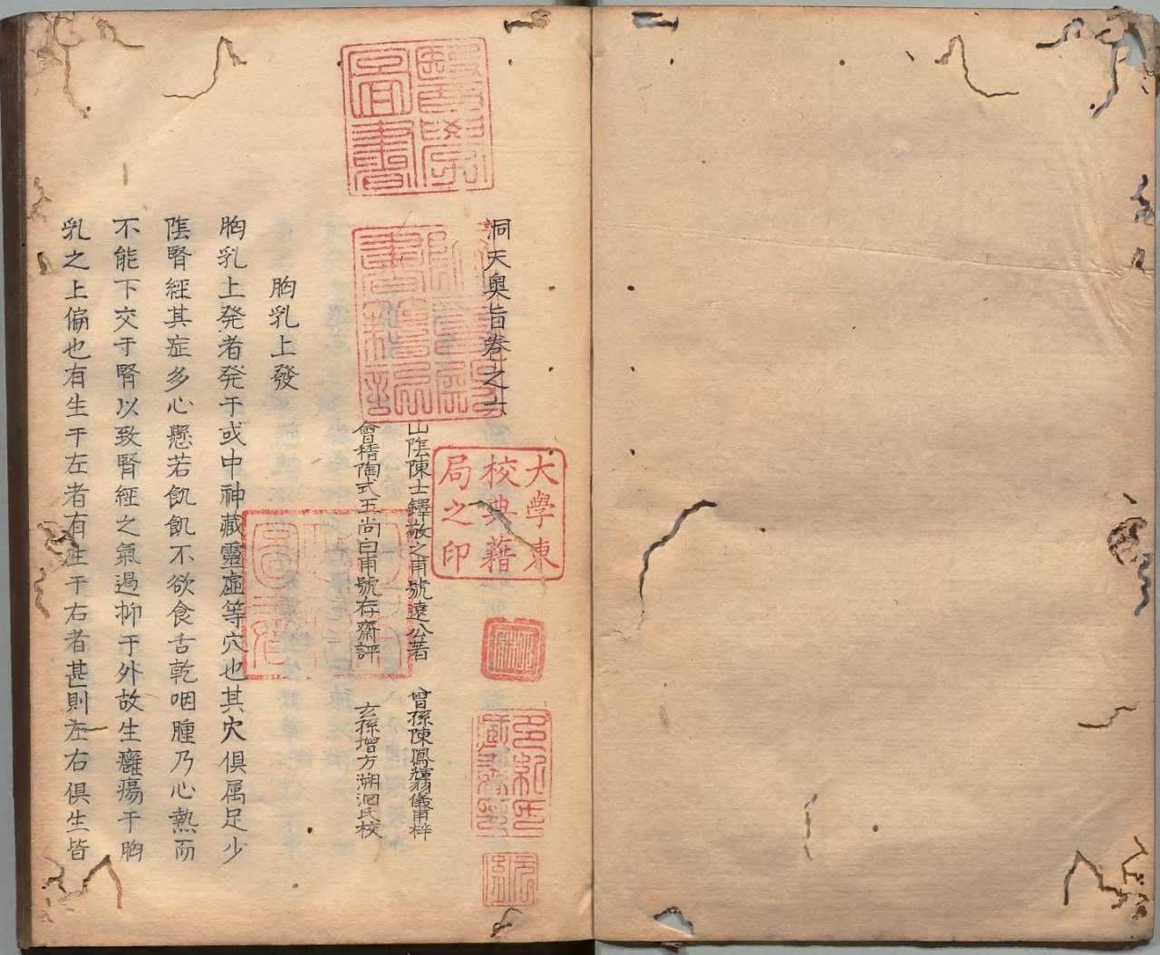 洞天奥旨中医古籍全书：陈士铎奇症验方秘典，传统医学珍本深度解读 - 夸克网盘 资源封面图