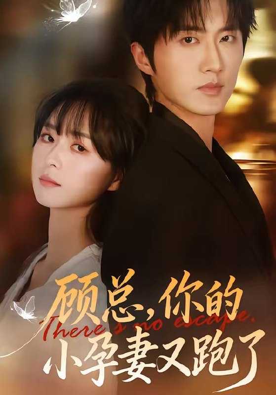 短剧-顾总，你的小孕妻又跑了（47集）马薇＆顾天逸 - 百度网盘 资源封面图
