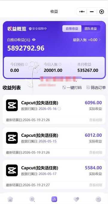 国际版抖音拉新 剪映，醒图，豆包等多玩法教程 长期可做的项目 轻松日入四位数 深度揭秘玩法 干就完了 - 夸克网盘 资源封面图
