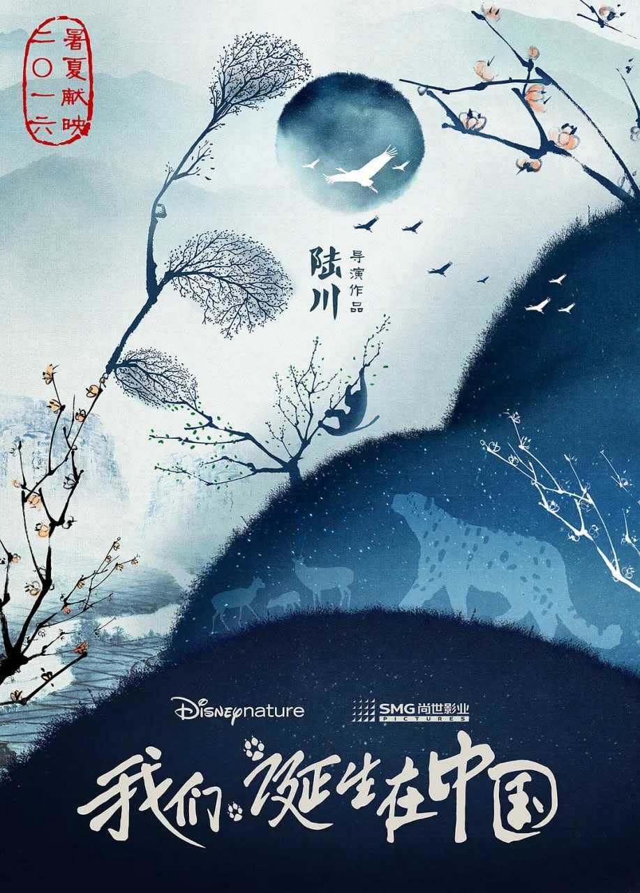 我们诞生在中国 - 夸克网盘 资源封面图