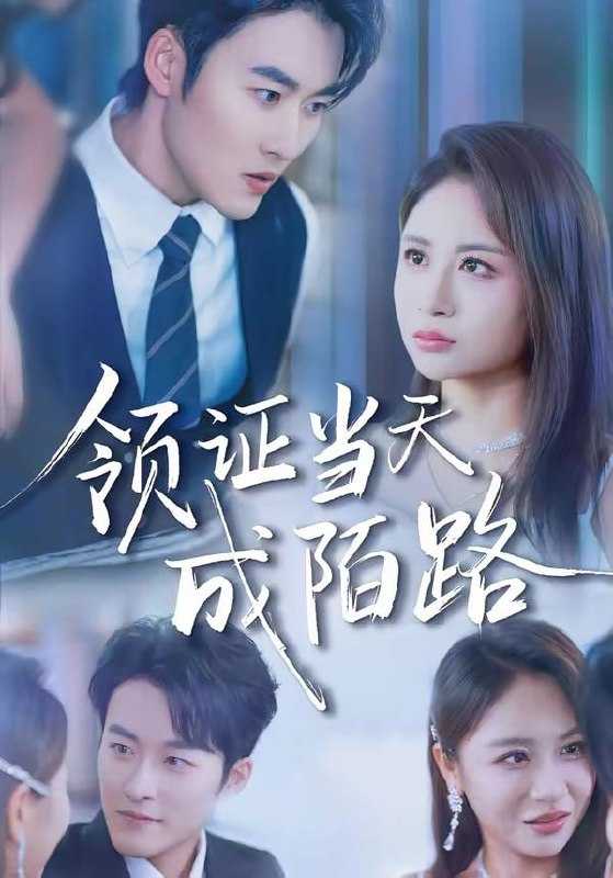 短剧-领证当天成陌路（39集）姜博龙＆李佳乐 - 百度网盘 资源封面图