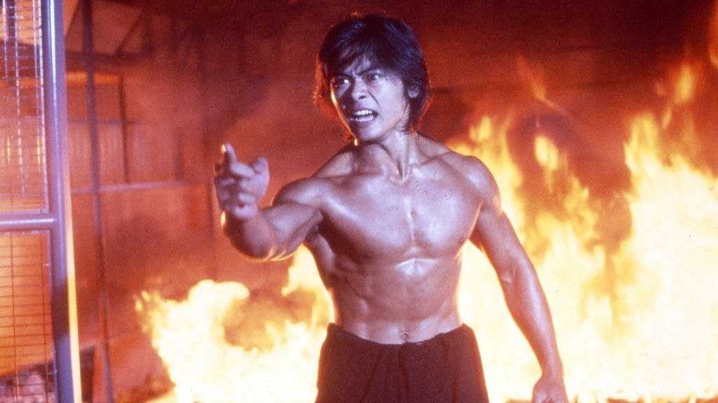 力王 (1991) 4K 超高清 原盘REMUX HDR10 H265 DTS-HD MA 5.1 - 迅雷云盘 资源封面图