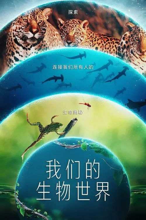 我们的生物世界 (2024) 4K HDR & Dv 全4集 内封简繁英字幕 - 百度网盘 资源封面图