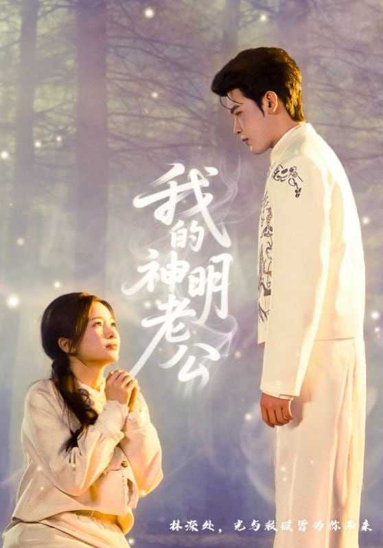 短剧-我的神明老公（70集）李尔迪＆金宁 - 百度网盘 资源封面图