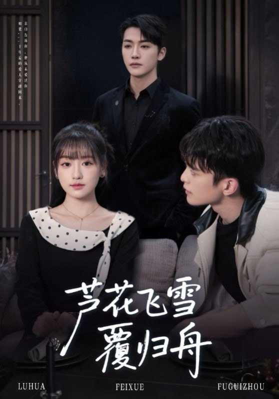 短剧-芦花飞雪覆归舟（77集）李咏靖&武伯言 - 百度网盘 资源封面图