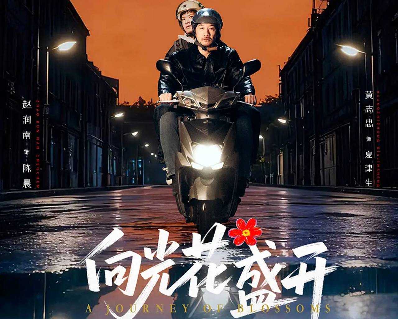 向光花盛开 2025 4K - 天翼云盘 资源封面图
