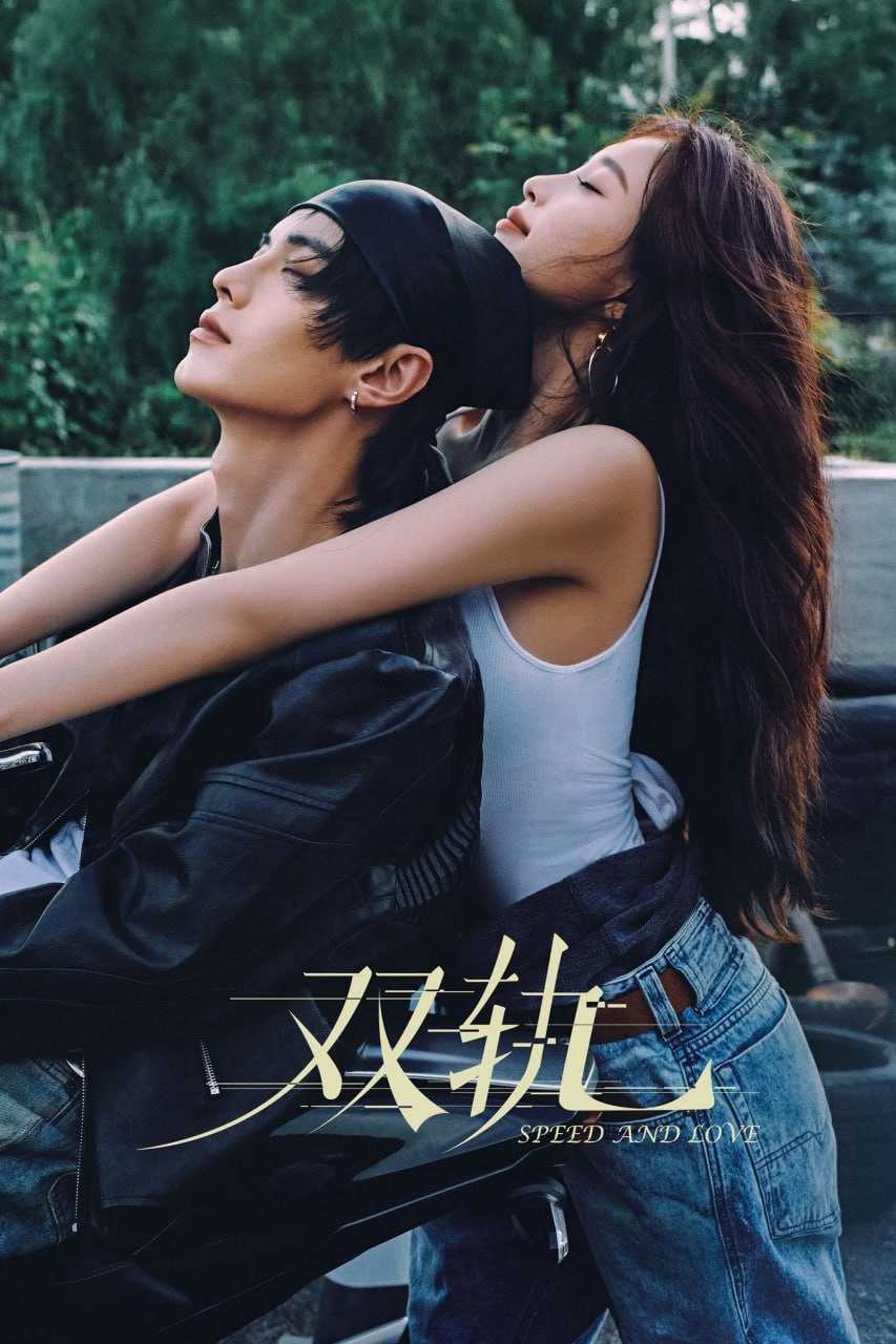 双轨 (2025) [WEB-4K] [国语中字] [更至18集] - 百度网盘 资源封面图