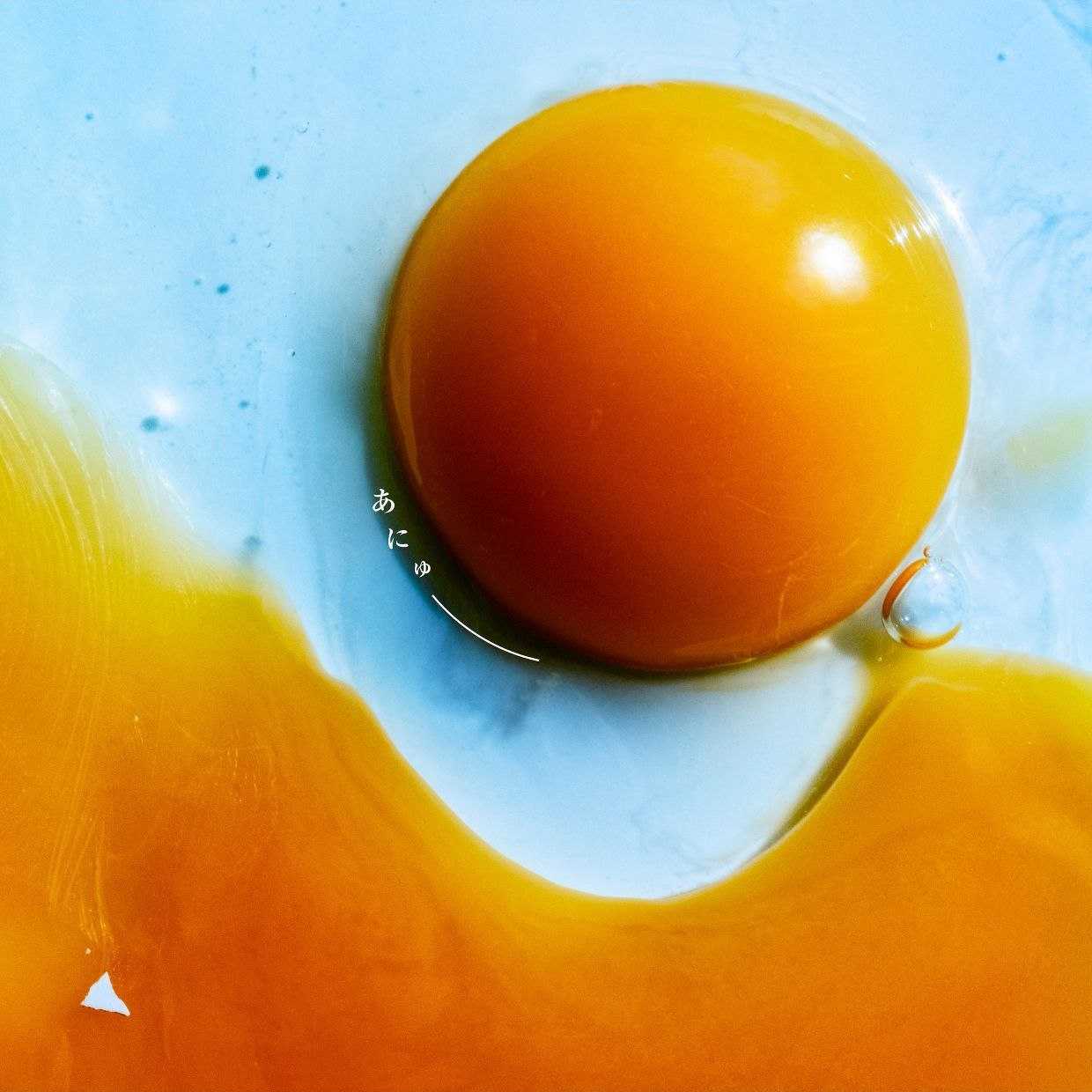 RADWIMPS — あにゅー (2025) (WEB FLAC 24bit⧸48kHz) - 夸克网盘 资源封面图