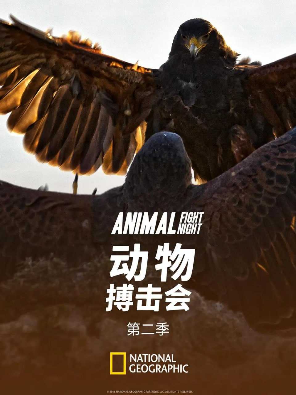 动物搏击会 第二季 Animal Fight Club Season 2 (2014) - 夸克网盘 资源封面图
