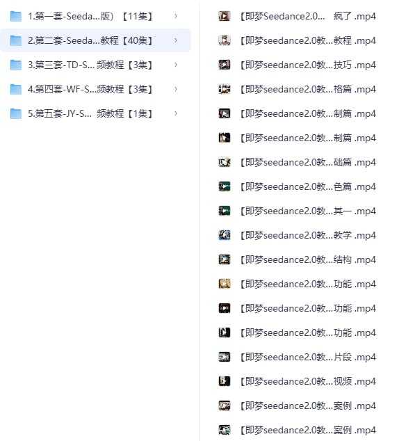 Seedance2.0保姆级教程5套合集，从入门到精通的最全攻略 - 夸克网盘 资源封面图