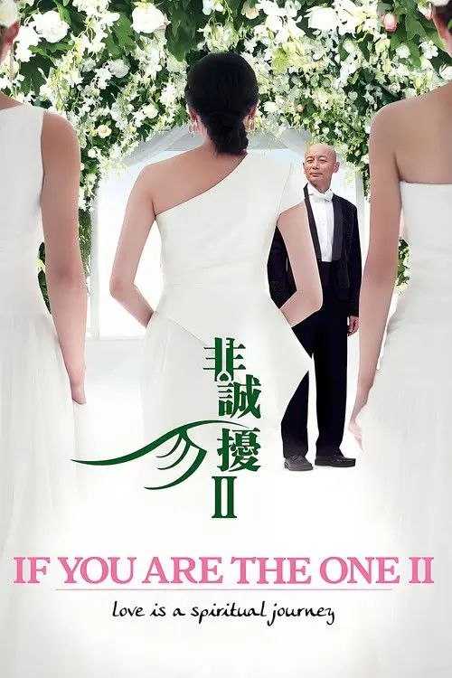 非诚勿扰2 (2010) 4K - 百度网盘 资源封面图