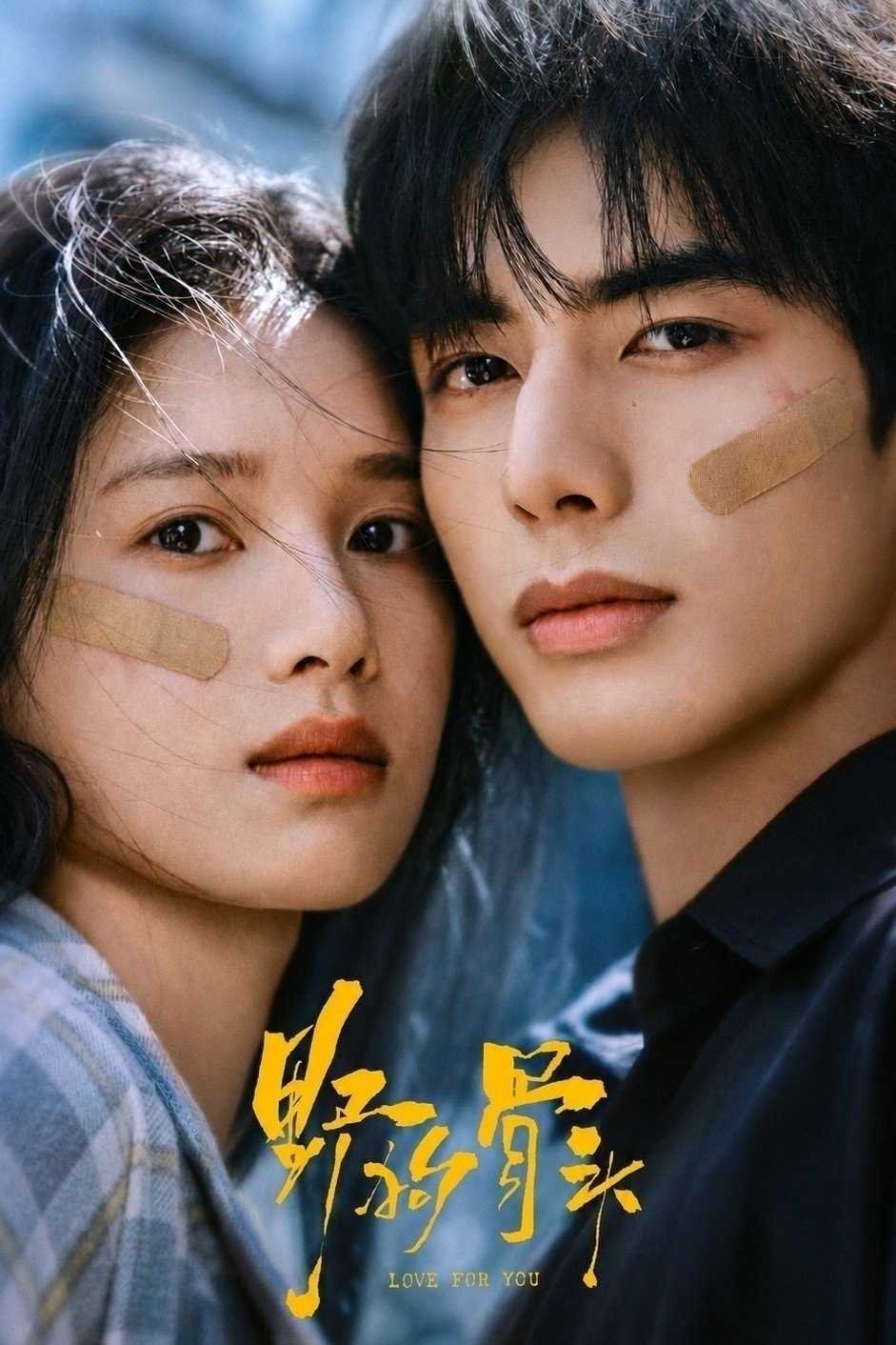野狗骨头(2026)【更15集】【4K.高码率】【内嵌简中】【宋威龙/张婧仪】 - UC网盘 资源封面图