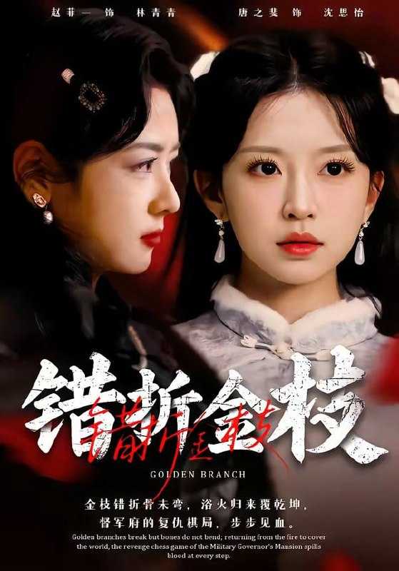 短剧-错折金枝（46集）金泽元＆唐之斐 - 百度网盘 资源封面图