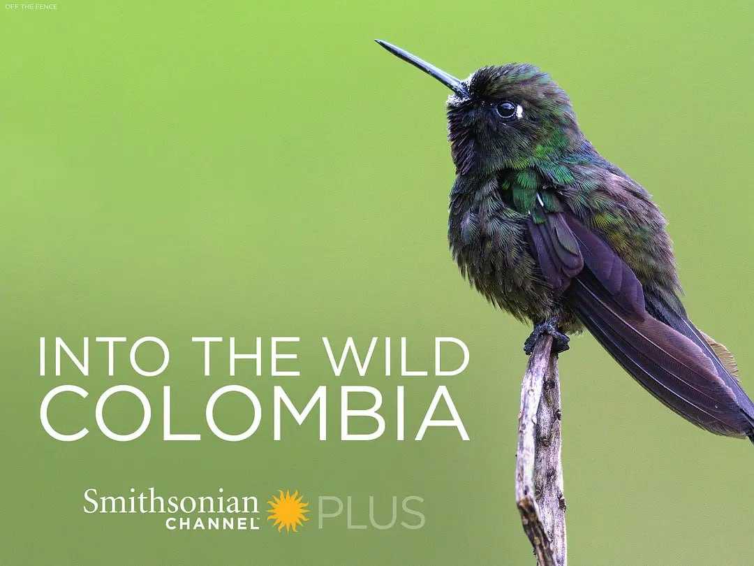 走进野外：哥伦比亚 Into the Wild Colombia (2018) 1080 - 夸克网盘 资源封面图