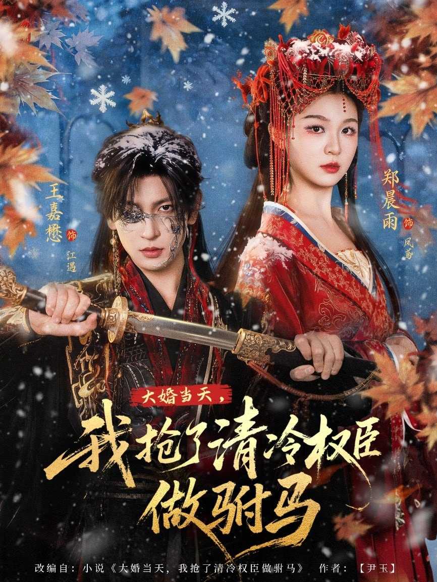 短剧-大婚当天，我抢了清冷权臣做驸马（73集）王嘉懋＆郑晨雨 - 百度网盘 资源封面图