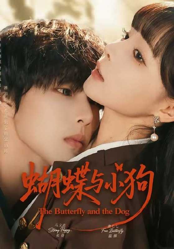 短剧-蝴蝶与小狗（70集）马义炎＆唐七七 - 百度网盘 资源封面图