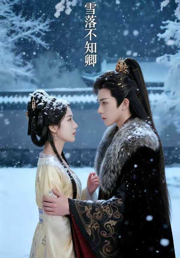 短剧-雪落不知卿（62集） - 百度网盘 资源封面图