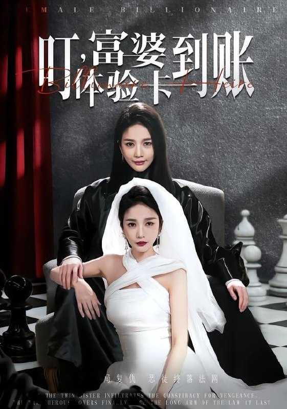 短剧-叮，富婆体验卡到账（61集）聂文华＆王小橙 - 百度网盘 资源封面图