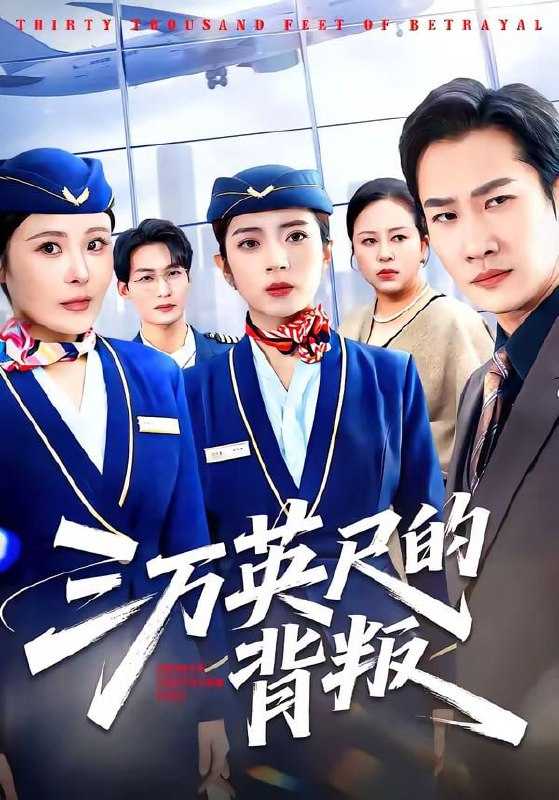 短剧-三万英尺的背叛（41集）雅坤&张绍程&杨乃晴 - 百度网盘 资源封面图