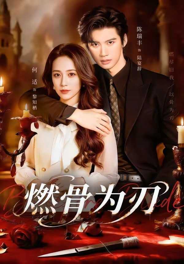 049361-燃@骨@为@刃@ (62集) 陈瑞丰&何适 - 夸克网盘 资源封面图