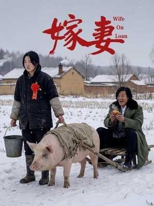 嫁妻 (2026)  4K - 百度网盘 资源封面图