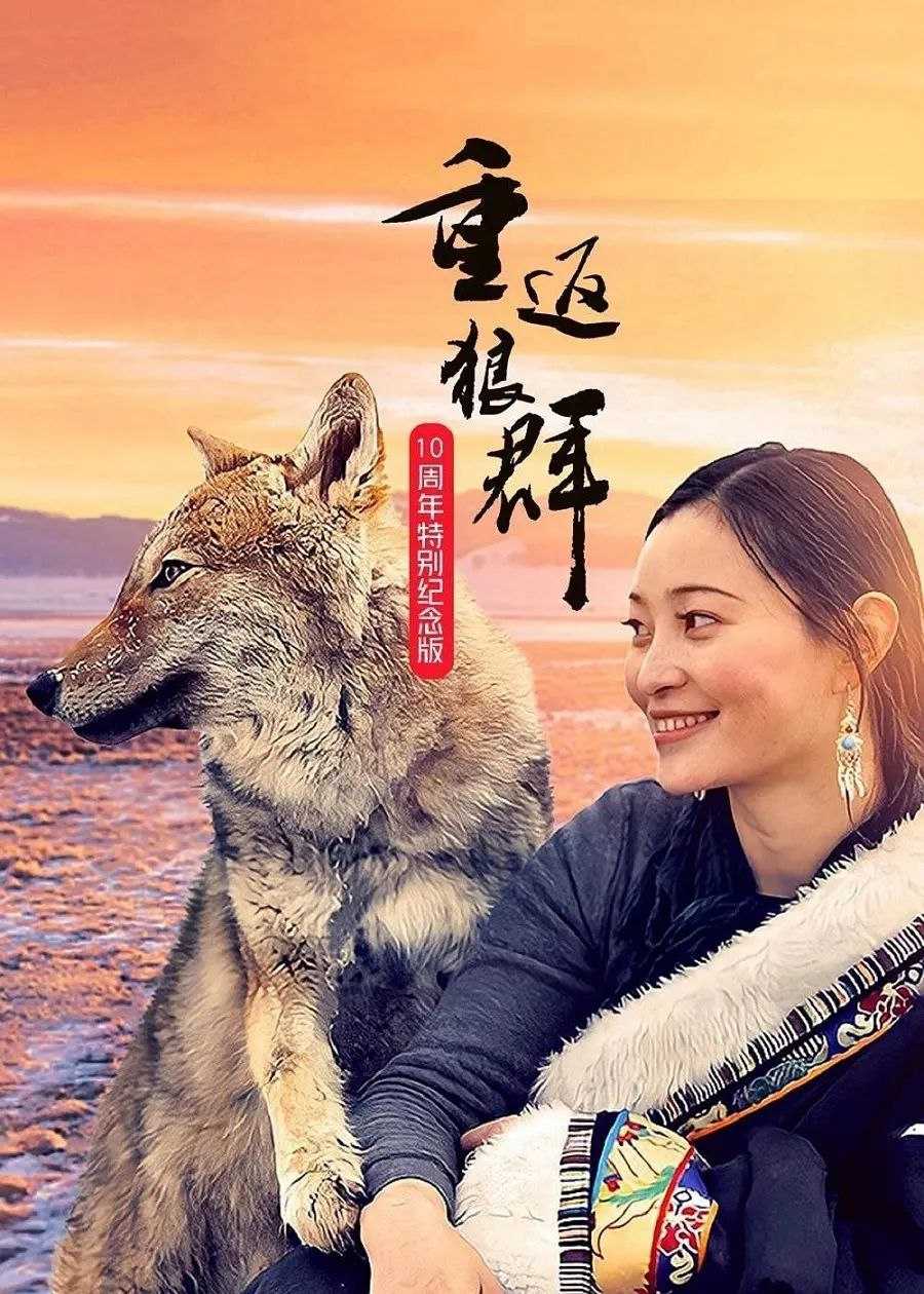 重返狼群 10周年特别纪念版(2021)【10集全】【4K.高码率】【内嵌简中】 - 迅雷云盘 资源封面图