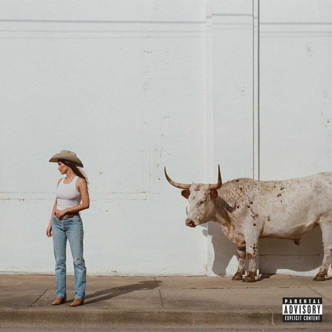 Kacey Musgraves - Middle of Nowhere (2026)  (FLAC 24bit 48kHz) 乡村 qo - 夸克网盘 资源封面图