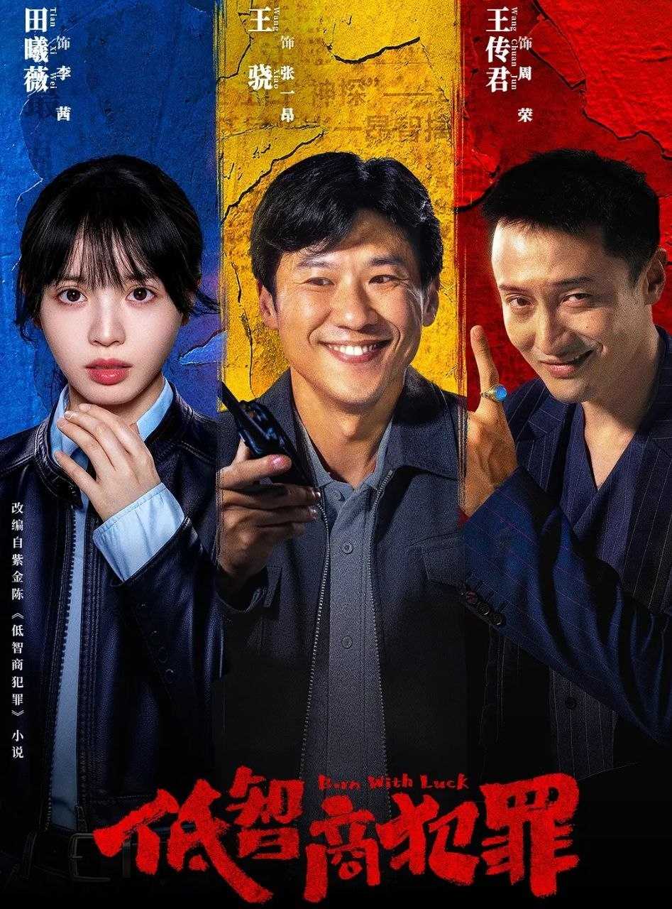 低智商犯罪 (2026) 全24集完结 [4K][刑侦][王骁/田曦薇/王传君] - UC网盘 资源封面图